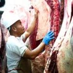 What is Beef Processing Software?